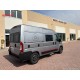 Dreamer D43 Select 20° Anniversario | Automatico